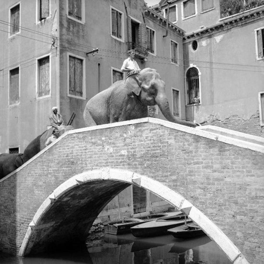 Ca' Circus 4 Rooms Wi-Fi Fibre Veneza Exterior foto